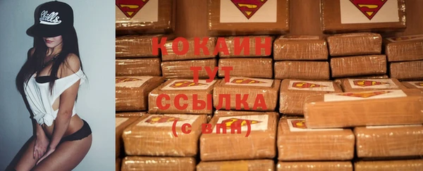 гидропоника Медногорск