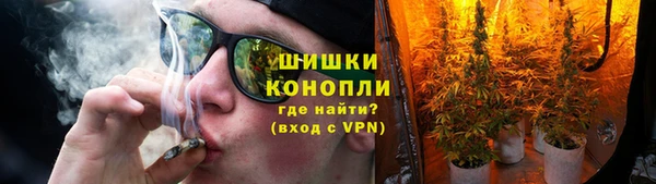 гидропоника Медногорск