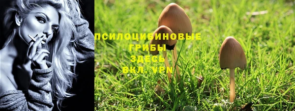 мет Мегион