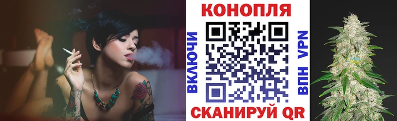 Купить закладки  Курган  МАРИХУАНА MAZAR 